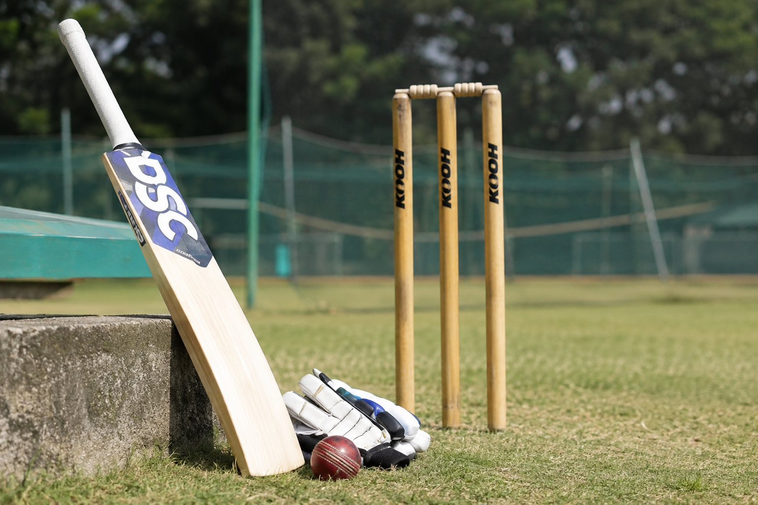 Best Cricket Bat for Beginners